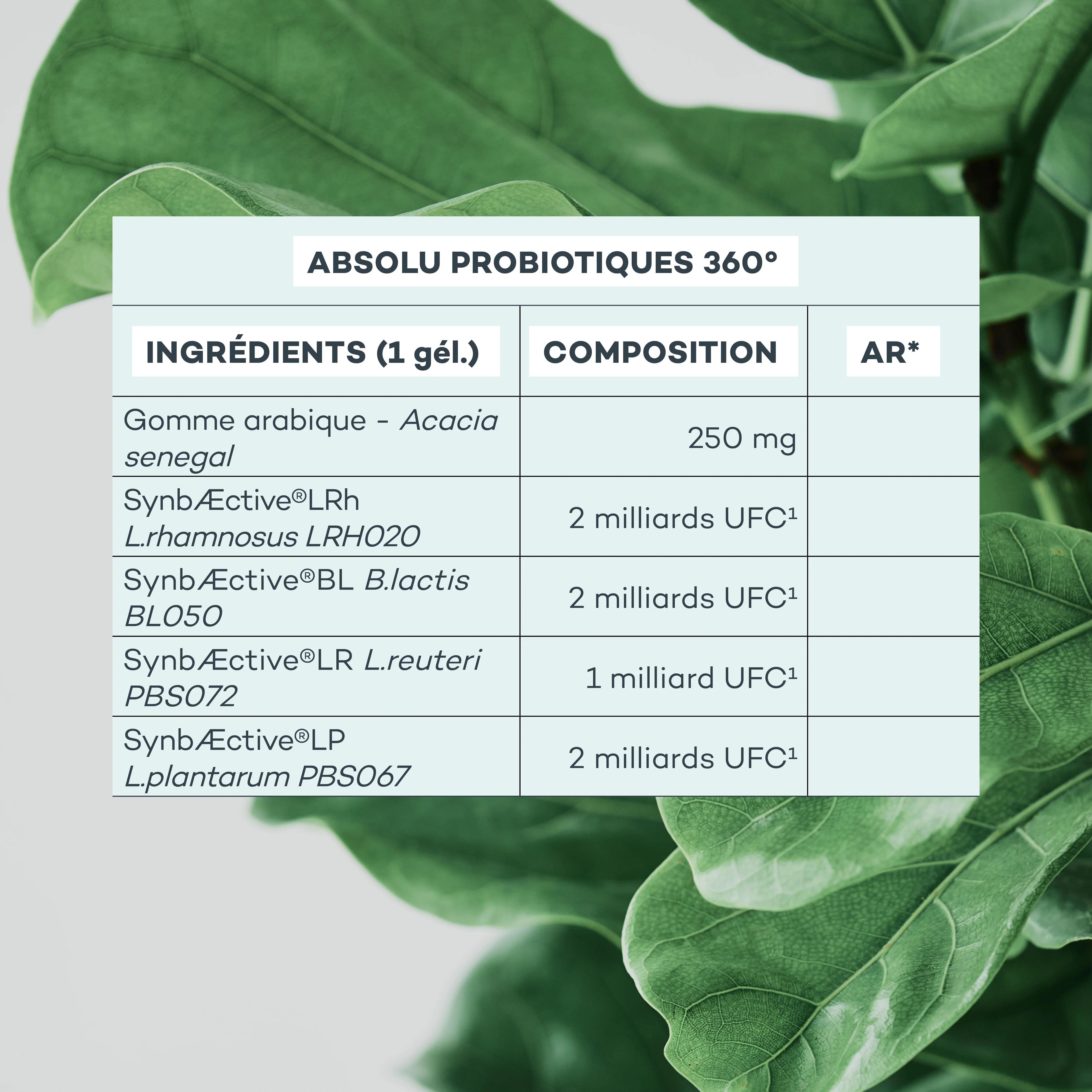 Image du produit 7